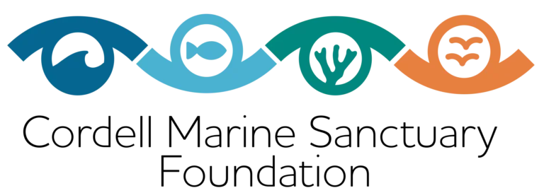 Overview of eastern boundary currents, California Current, and upwelling