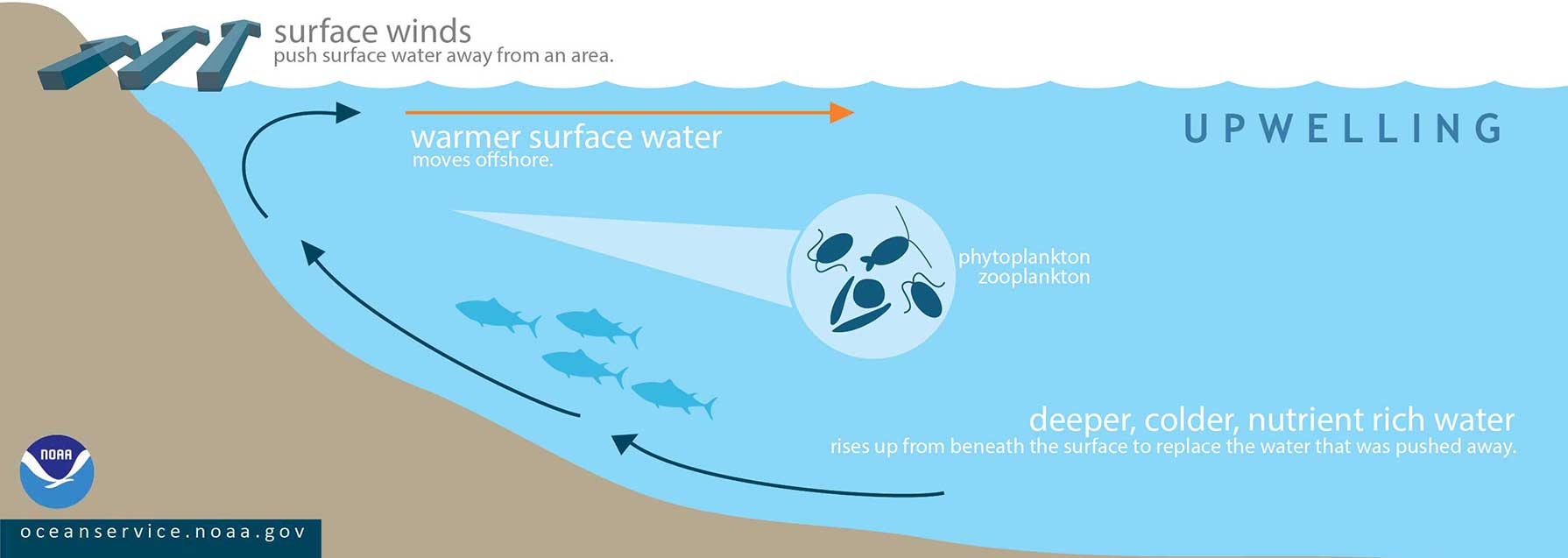 Unique factors contributing to Cordell Bank’s incredible productivity
